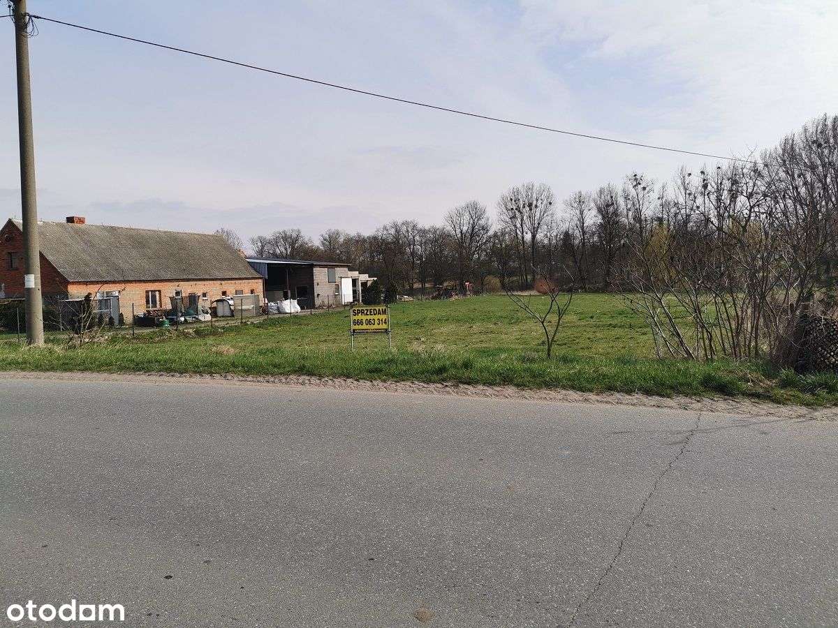 Działka pod zabudowę w Kajewie k. Gołuchowa-1