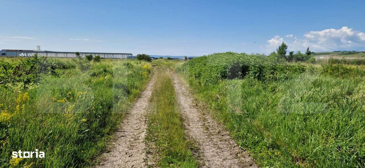 Teren intravilan, 8633 mp, Rascruci - Imagine principală: 5/7