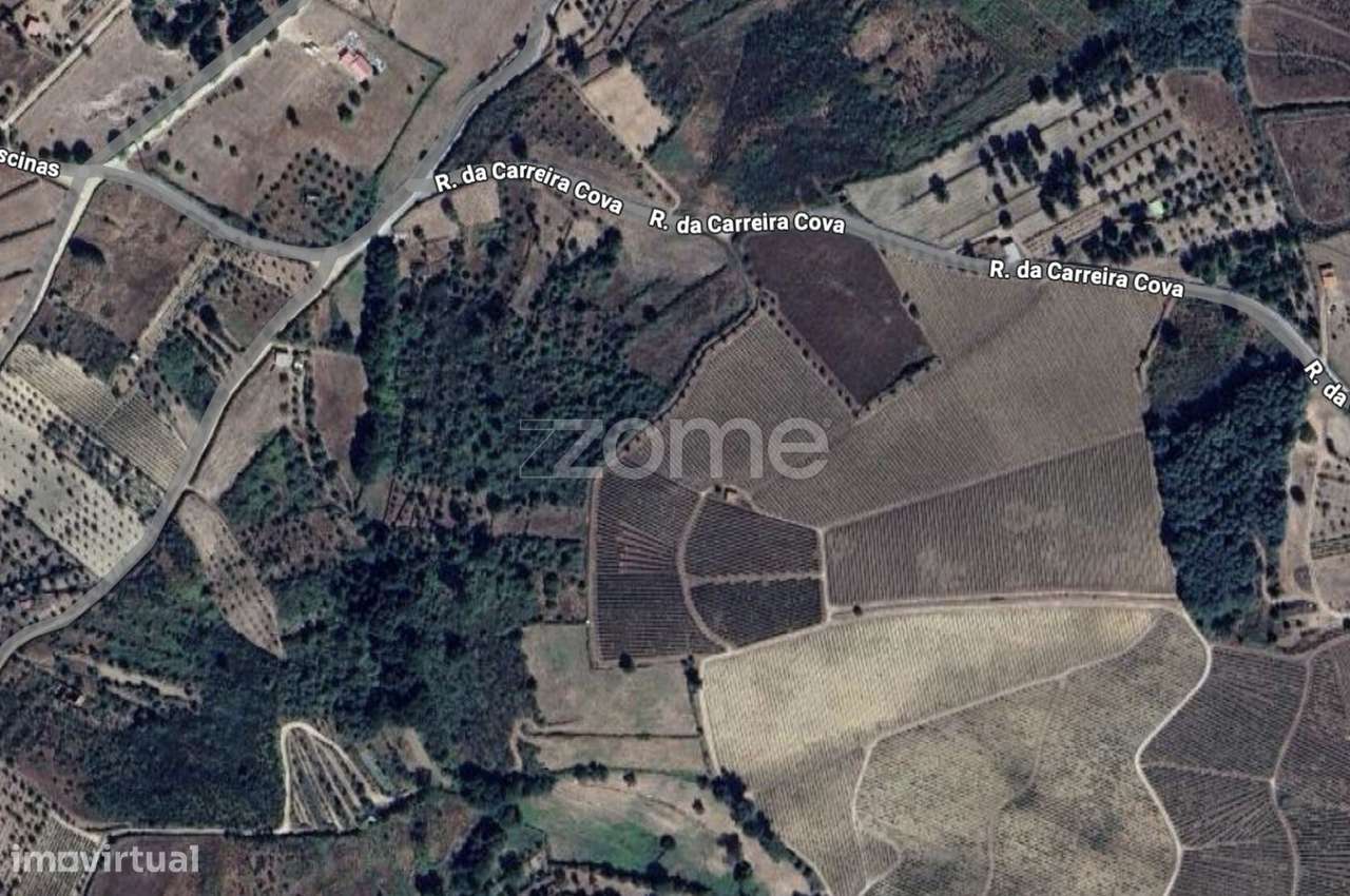 Terreno Urbano e Rústico em São Paio – Devesa, Gouveia - Grande imagem: 4/4
