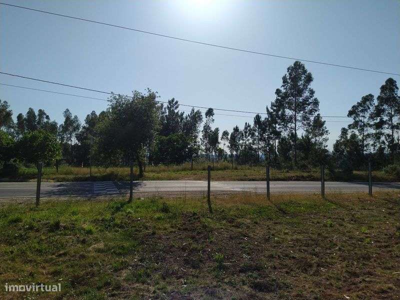 Terreno para Construção - Grande imagem: 4/5