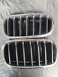 Grilă Radiator BMW X5 F15 - 6