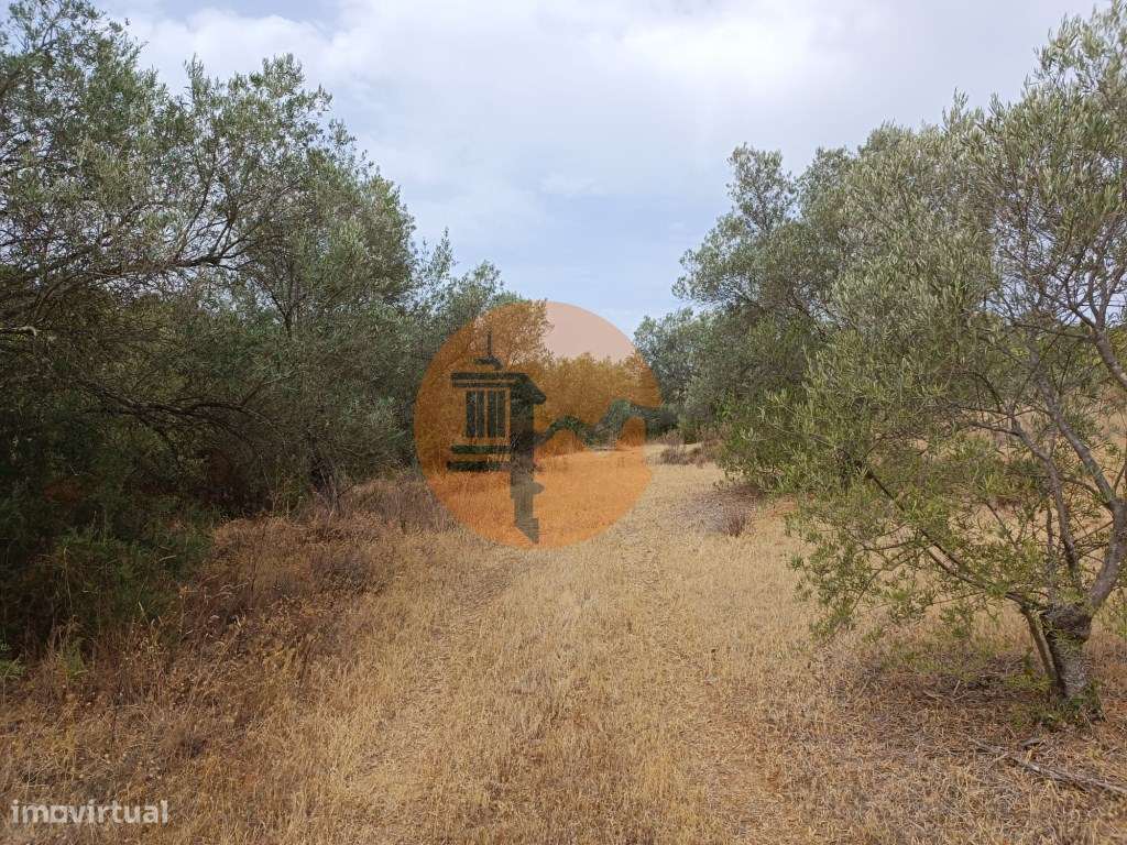 TERRENO RUSTICO COM 640 M2 - PRÓXIMO AOS BALURCOS EM ALCOUTIM - ALG... - Grande imagem: 5/23