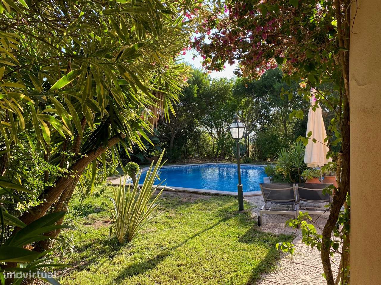 T5 | 2631m² | Cotovia, Sesimbra-5