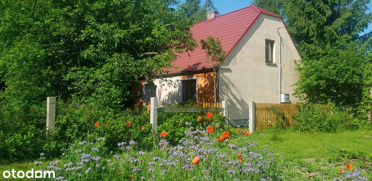 Urokliwe siedlisko w Małym Głęboczku pod Brodnicą