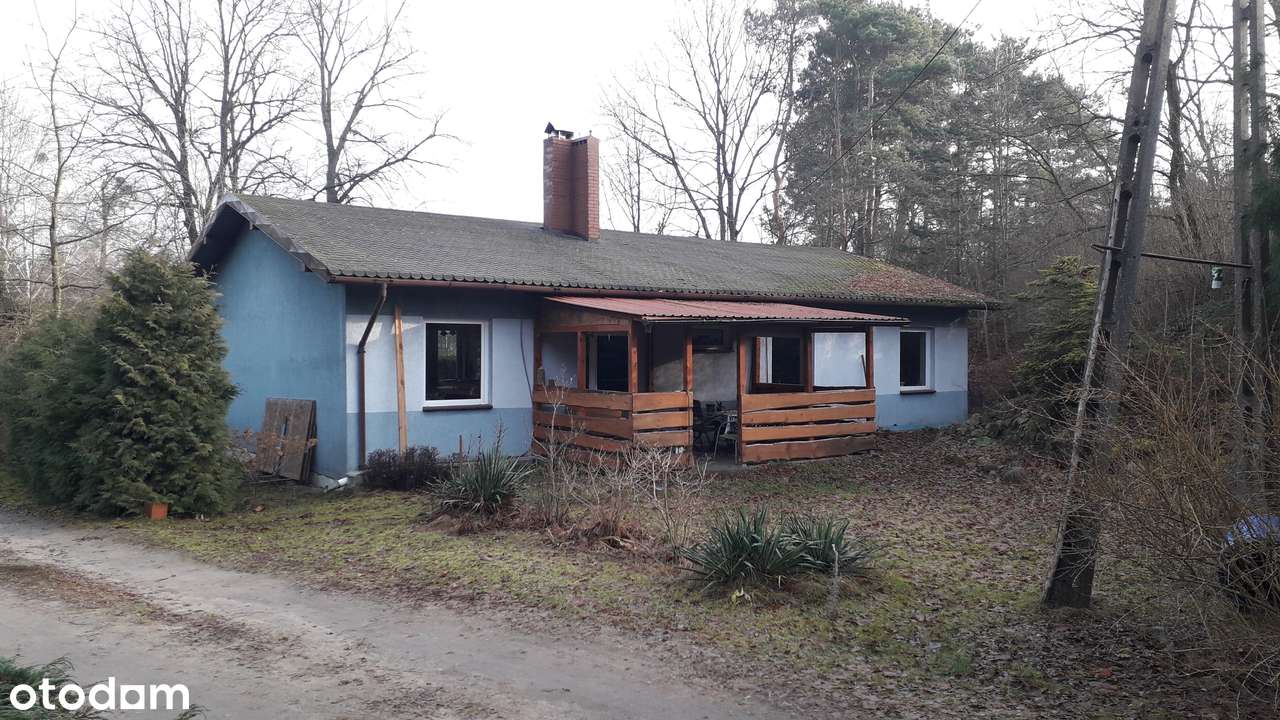 Dom ze stawem - Pełny obrazek: 5/14