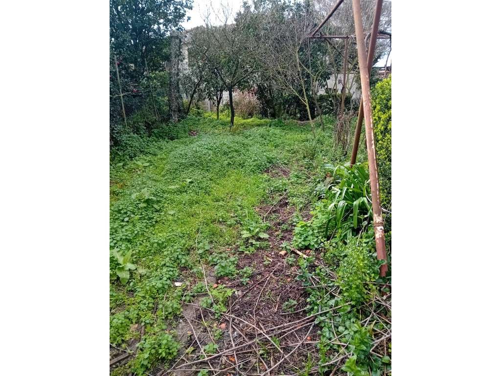 Quinta em Vila Nova de Famalicão - Gondifelos | 6.000 m² de Terreno...-23