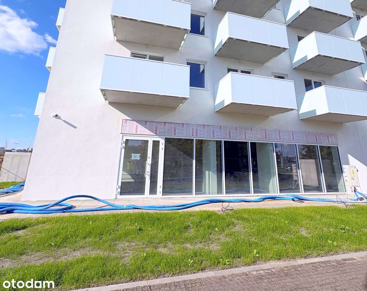 Krochmalna/Cukrownicza - Narożny Lokal Użytkowy pod Gastronomię - Pełny obrazek: 4/15