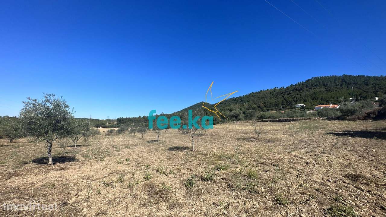 Quintinha em Monfortinho-20