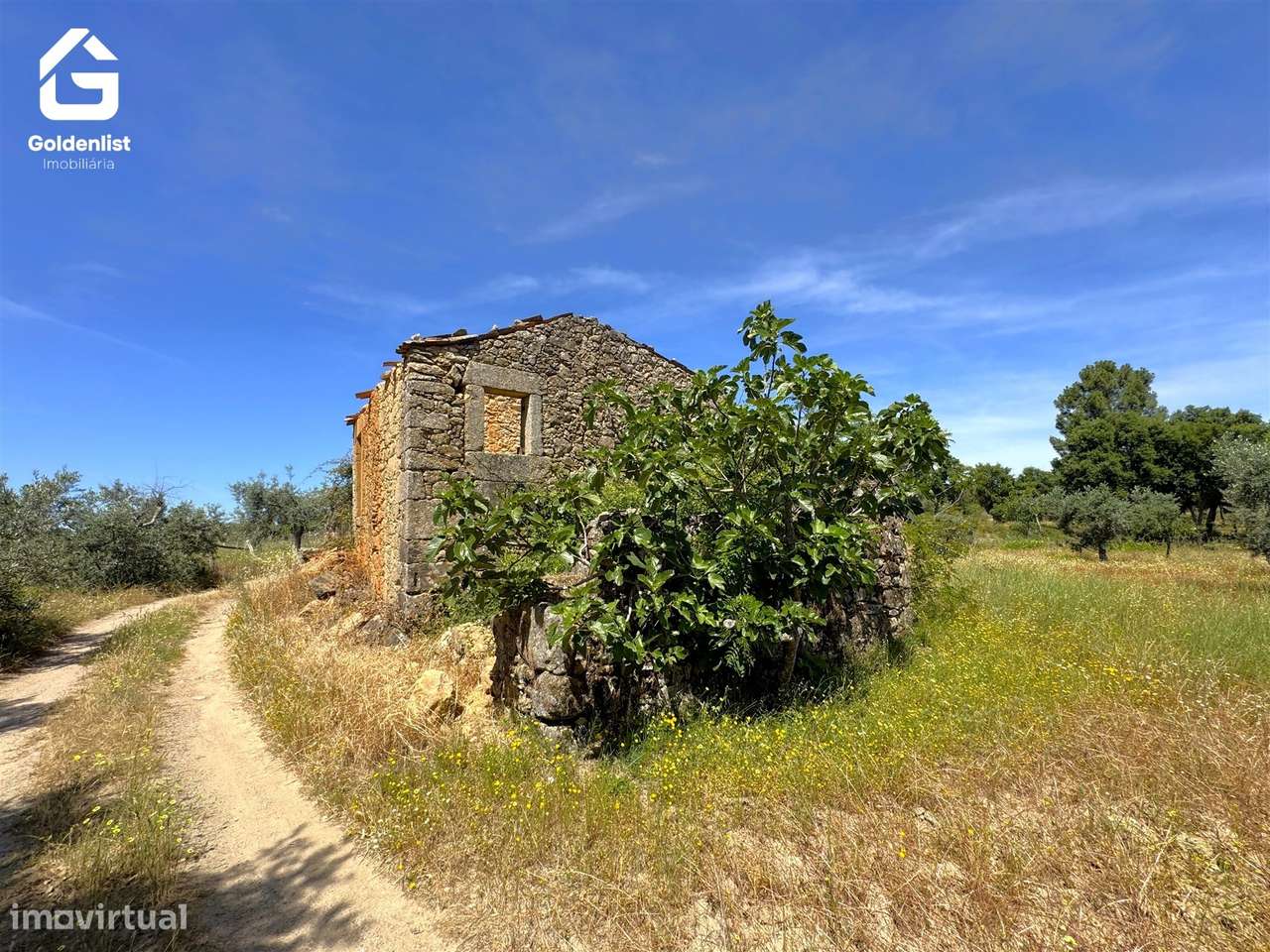 Quintinha  Venda em São Vicente da Beira,Castelo Branco-18