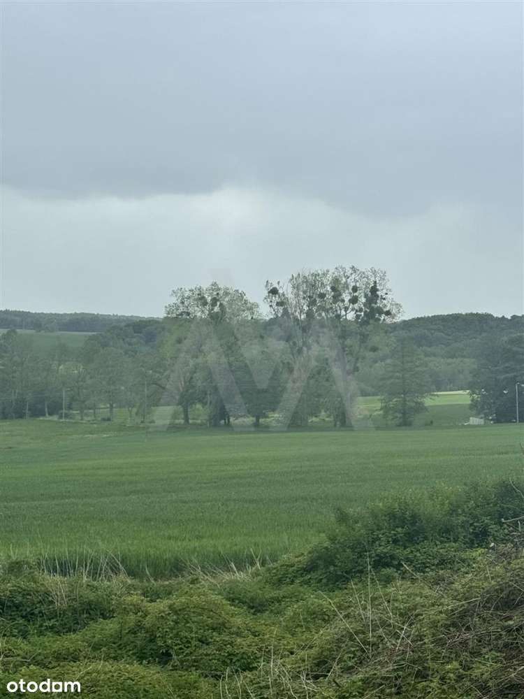 ??Działka Rolna | Klasa III | Blisko Lasu?? - Pełny obrazek: 5/12