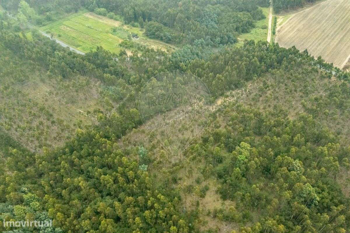 Terreno  para venda - Grande imagem: 4/4