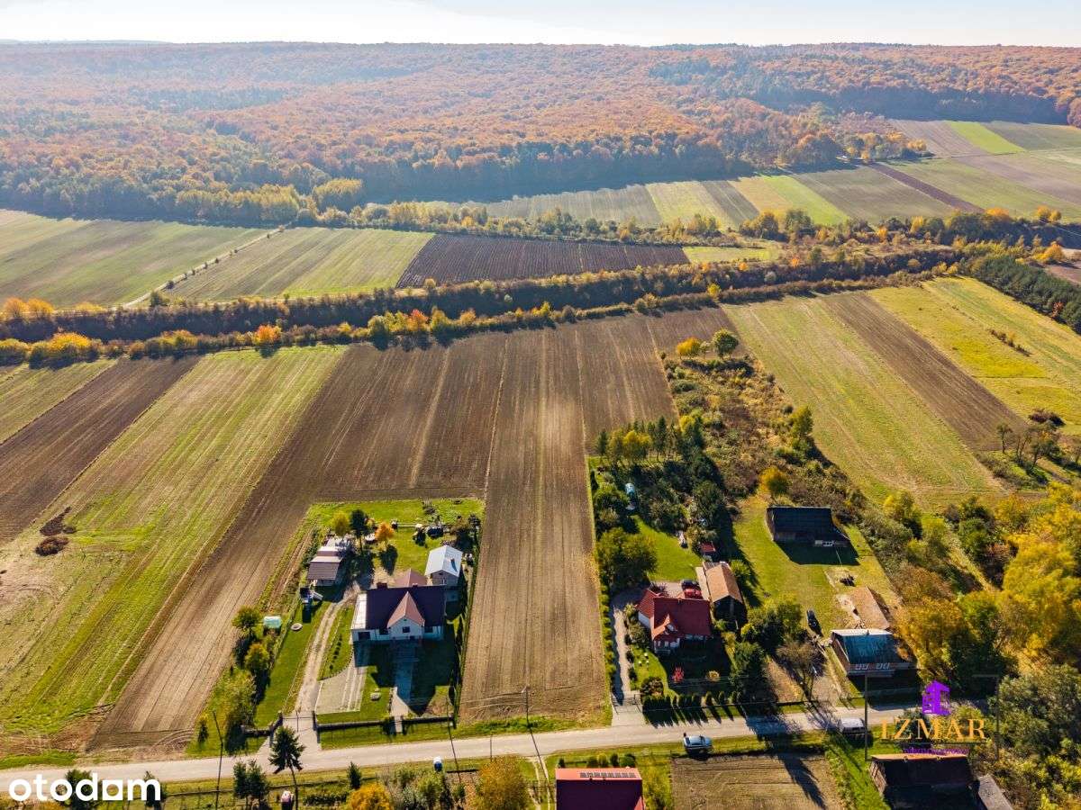 Działka Z Potencjałem W Przysiece! 5582 m² - Pełny obrazek: 4/13