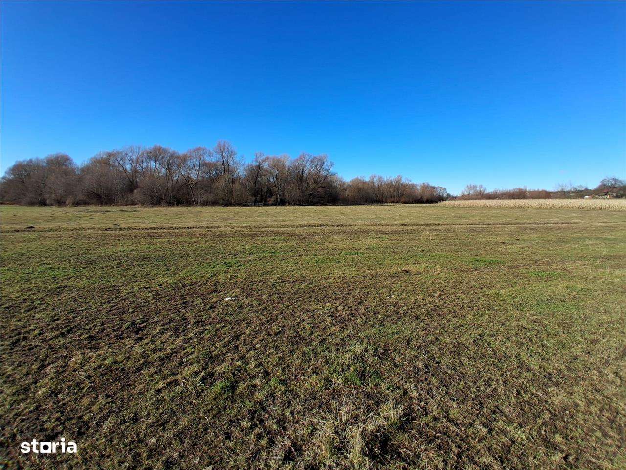 Teren intravilan 14780 mp, comision 0%, inTopolita, Neamt, pretabil af-3