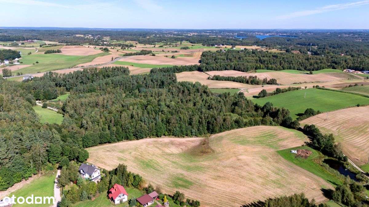 Działka marzeń dla wymagających - leśna willa! - Pełny obrazek: 5/14