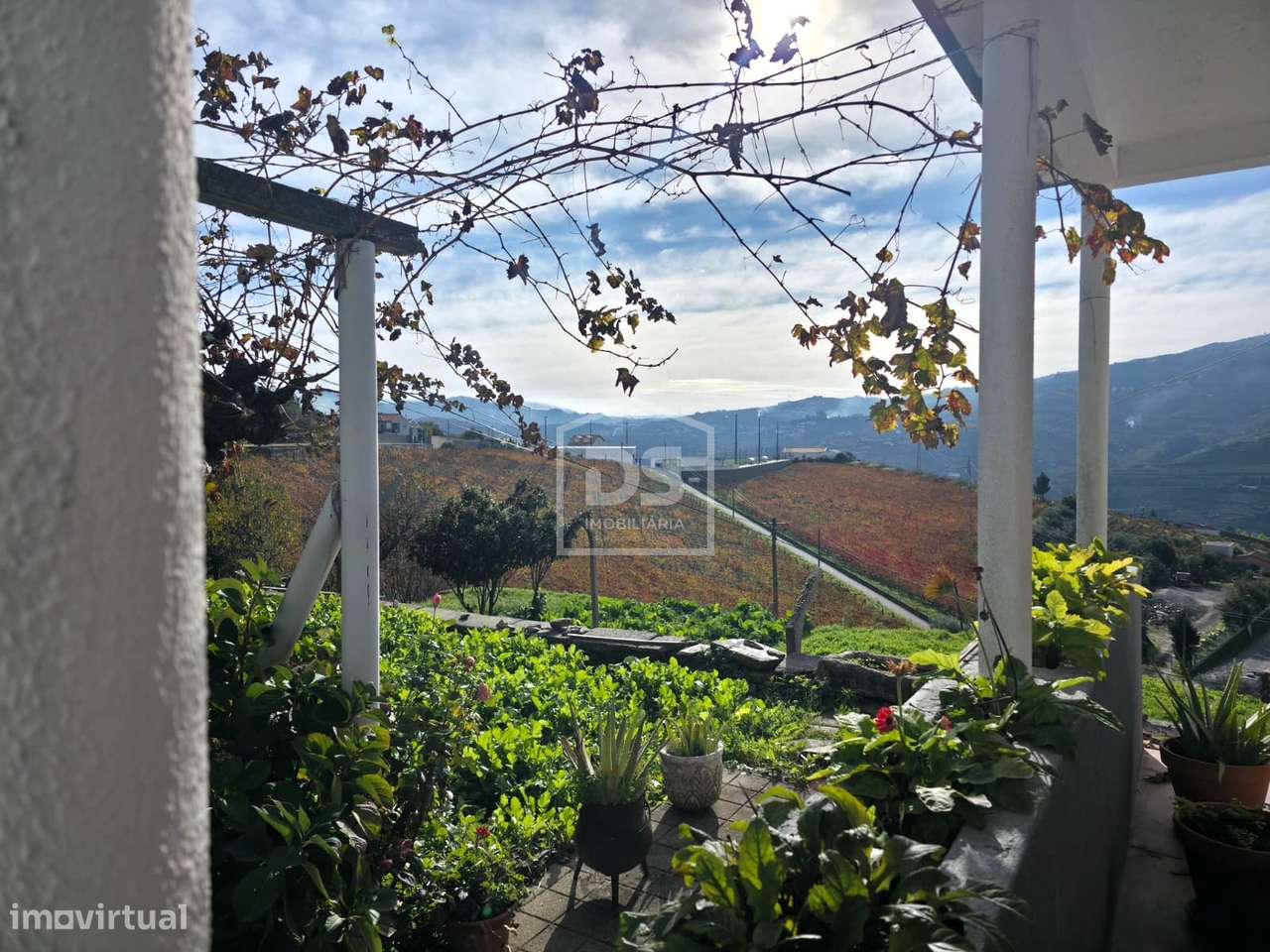 Quinta T4 Venda em Fontelas,Peso da Régua-11