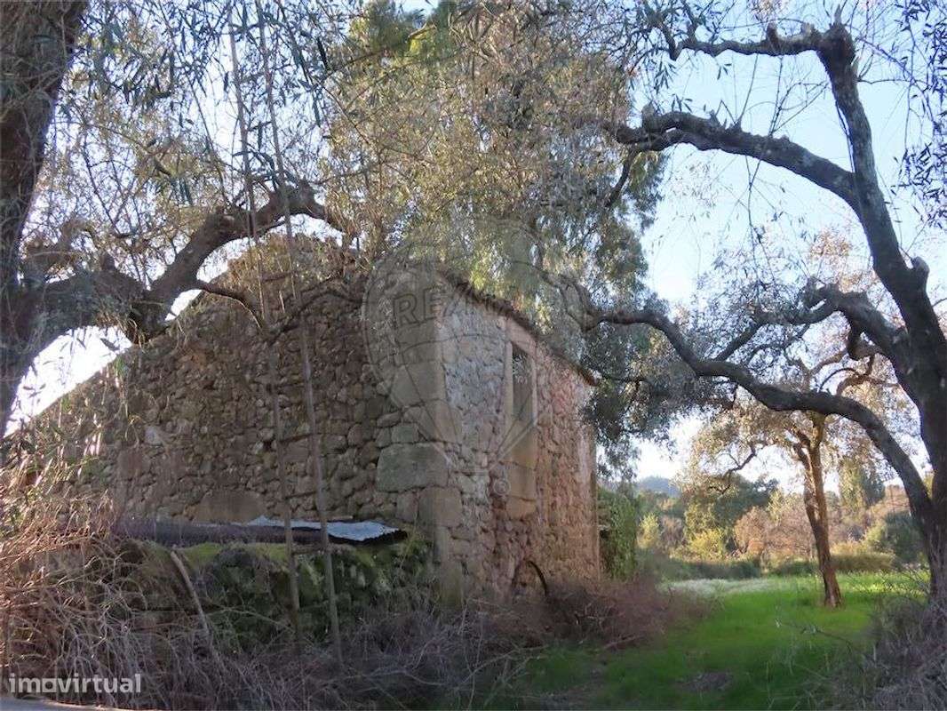 Quinta  para venda - Grande imagem: 5/33