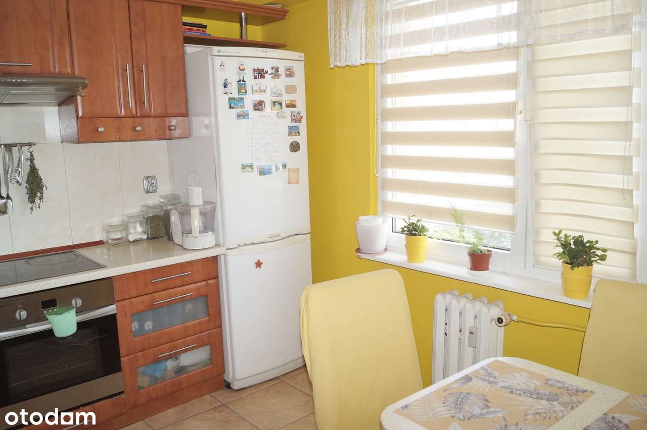 Atrakcyjne 3 pokoje/ 65,4m2/ 1 PIĘTRO! / balkon loggia/ Lubicz Górny - Pełny obrazek: 4/17