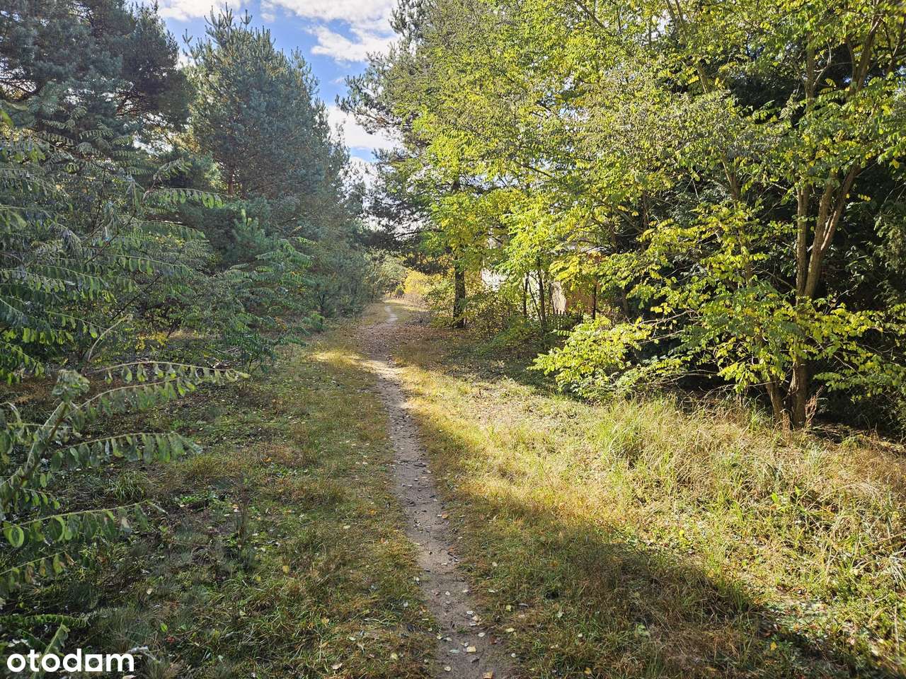 działka budowlana Izabelin Truskaw-6