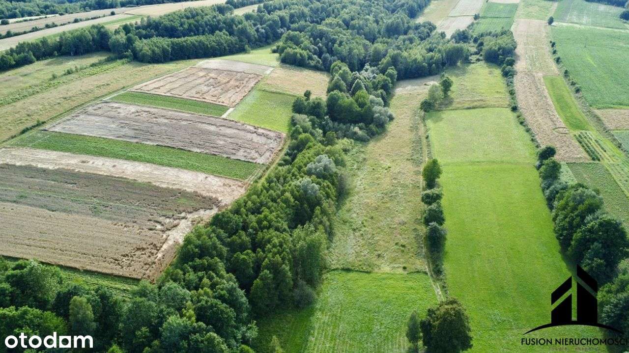 Urokliwa działka z potencjałem | 7842 m² | Łubno, - Pełny obrazek: 4/20