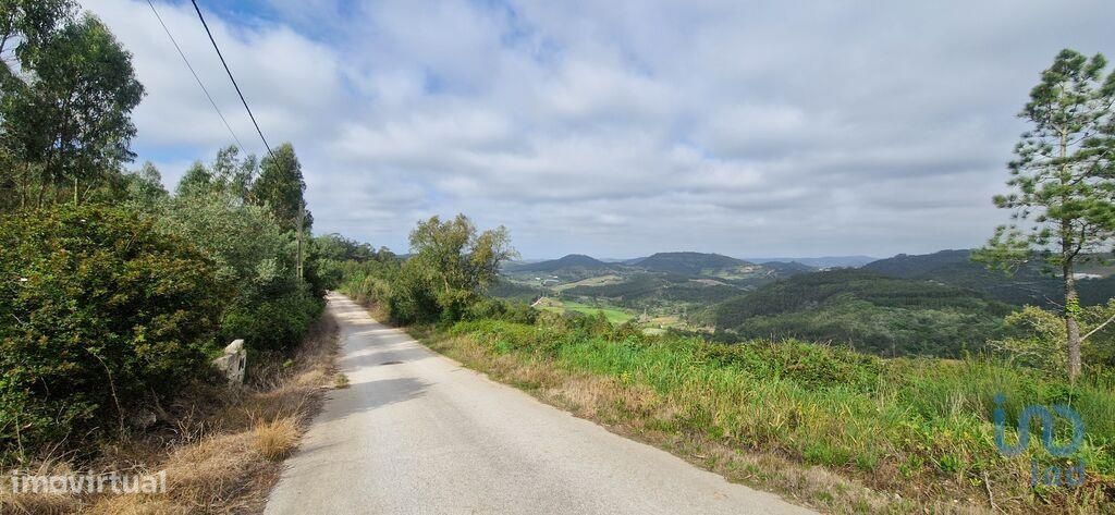 Terreno em Mafra de 8875,00 m2 - Grande imagem: 1/29