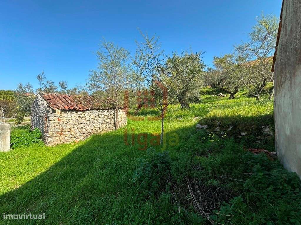 Moradia T2 com Terreno e Anexos - Ourém!-22