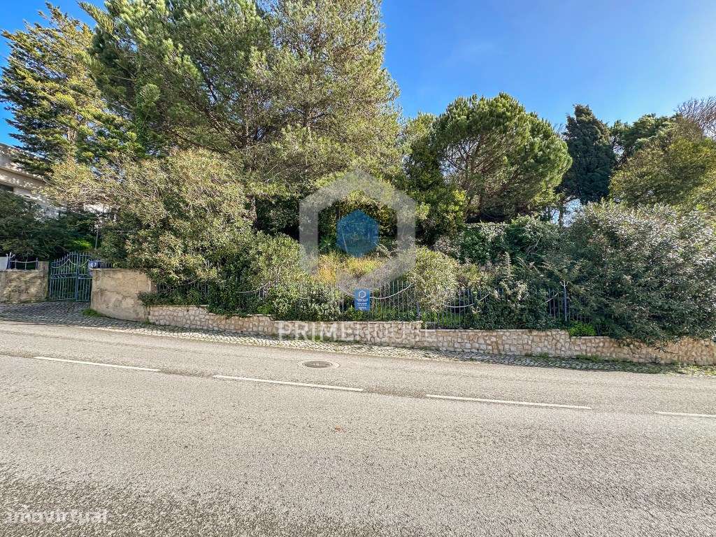 Terreno Urbano - Área de 1888 m2 - Grande imagem: 5/20