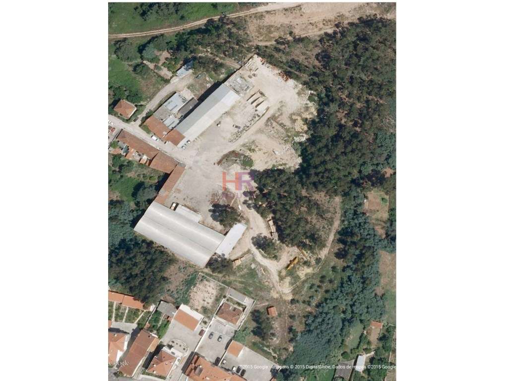 Terreno para Construção Cimo de Fala com 21000m2. - Grande imagem: 2/2