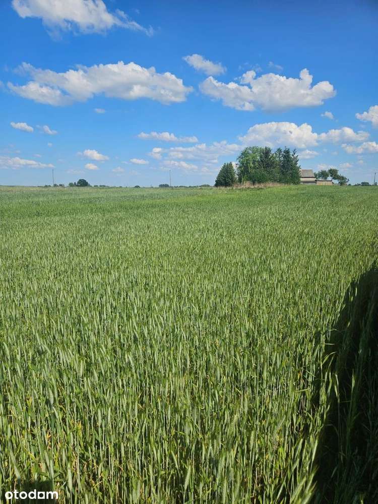 Działka budowlana Wielki Bukowiec dz.nr 619/1-3