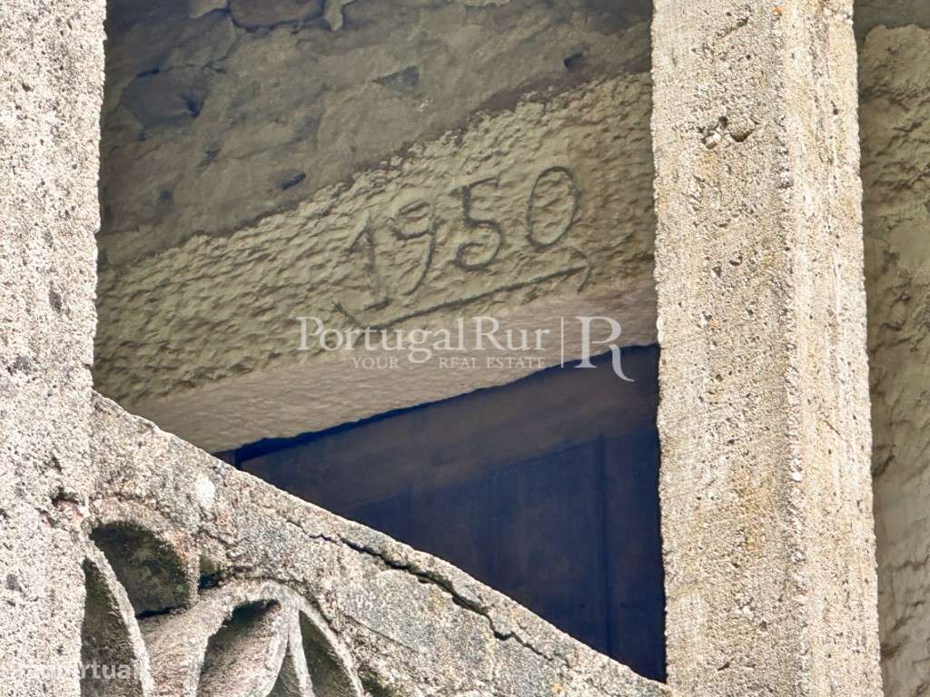 Quintinha de 5 Hectares em Enxames - Grande imagem: 5/45