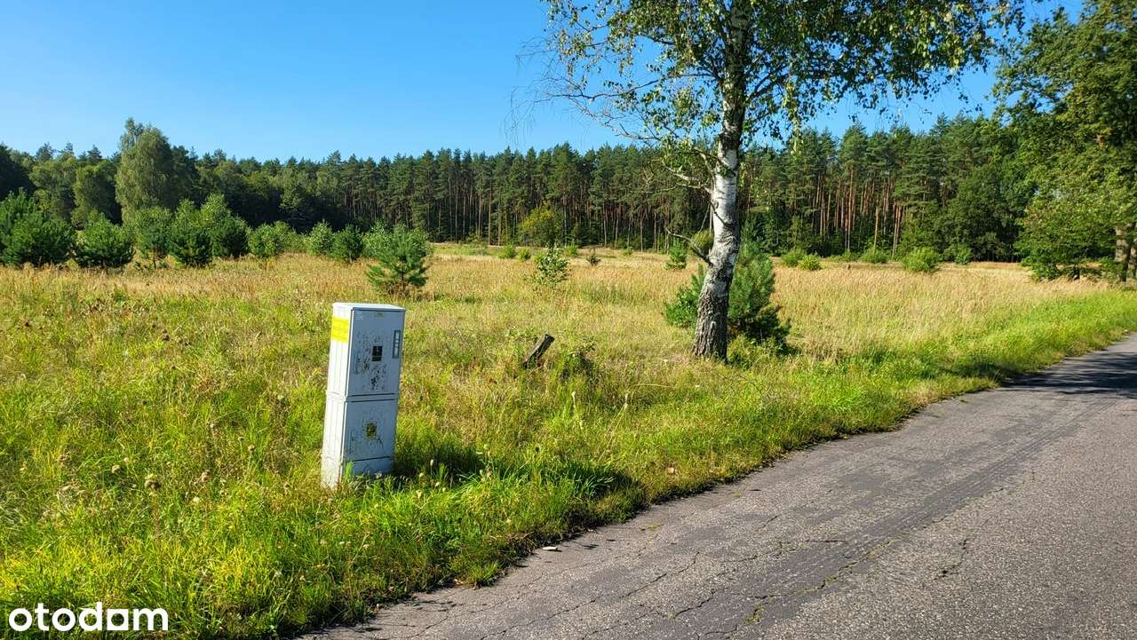 Działka Stawno 8800 m2 z warunkami zabudowy!-3