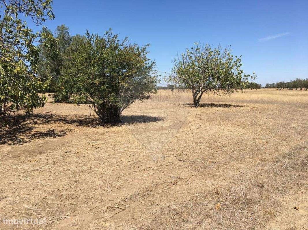 Terreno  para venda - Grande imagem: 4/10