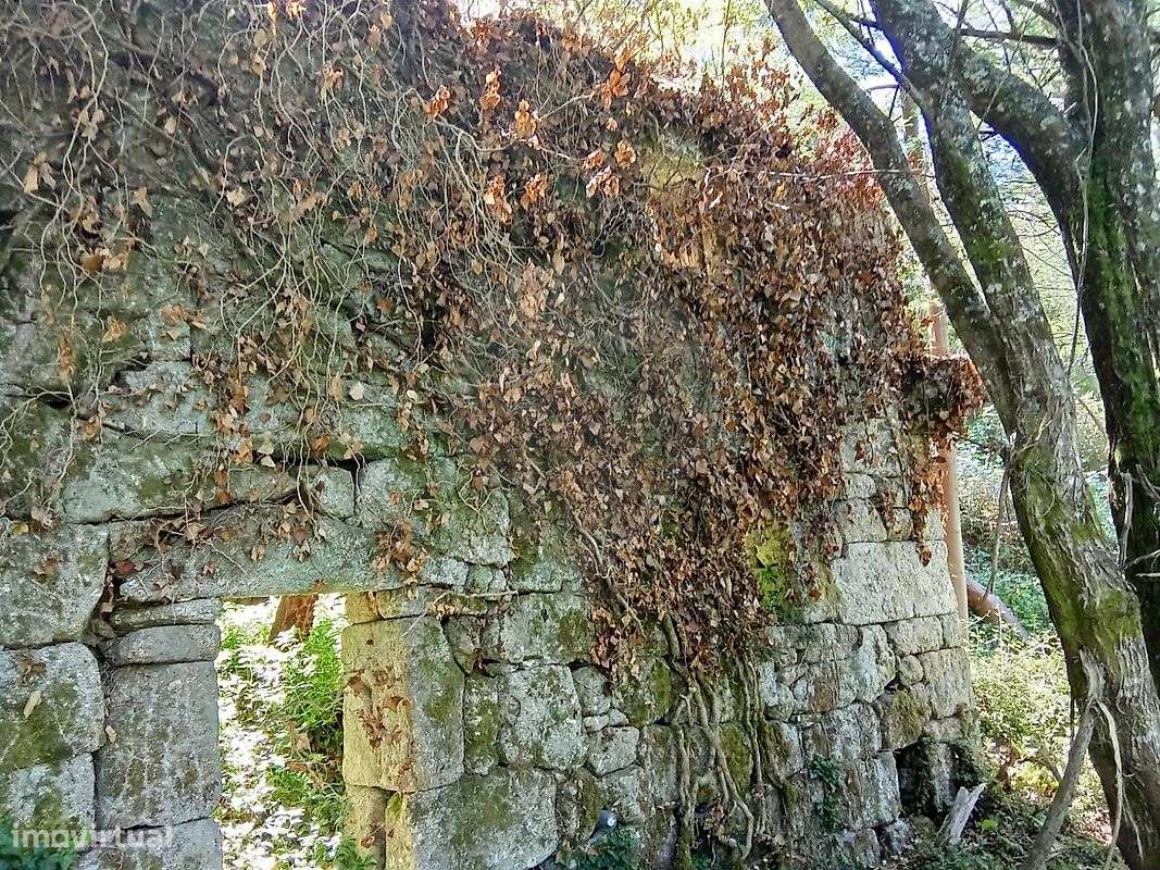 Quinta T2 para venda - Grande imagem: 5/13