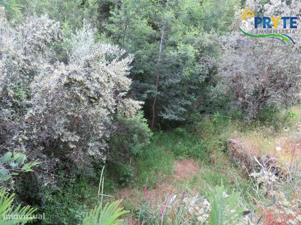 Pequena quinta a confinar com a Ribeira situada perto de Oleiros-45