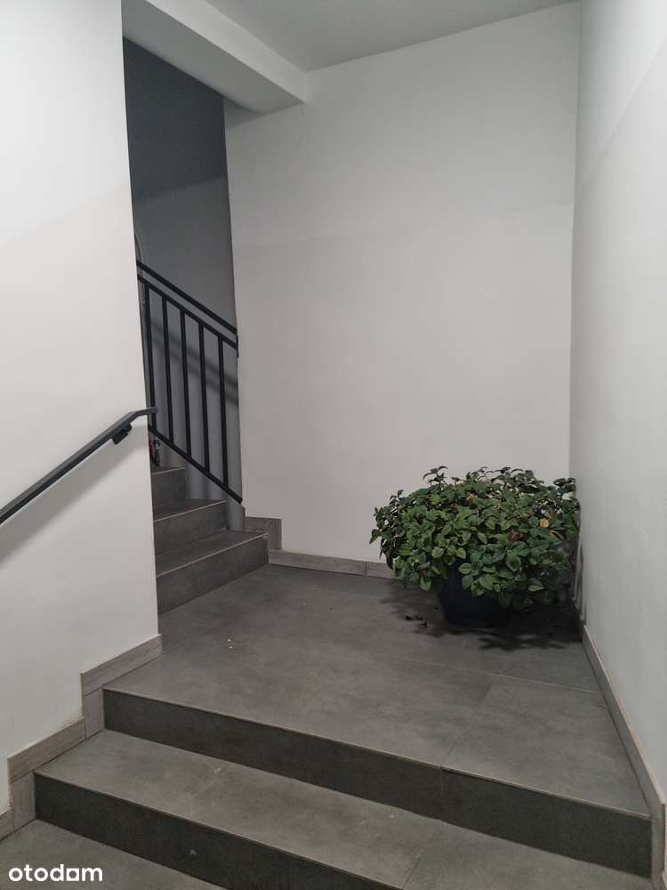 MROWINO - 1-pokojowe - Pełny obrazek: 4/9