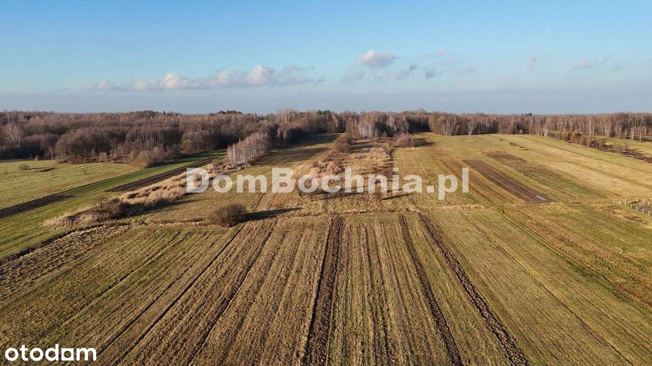 Jodłówka działka budowlana lokata w ziemi-11