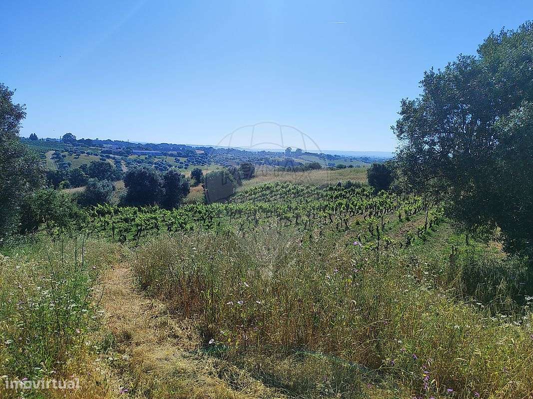 Terreno  para venda - Grande imagem: 4/4