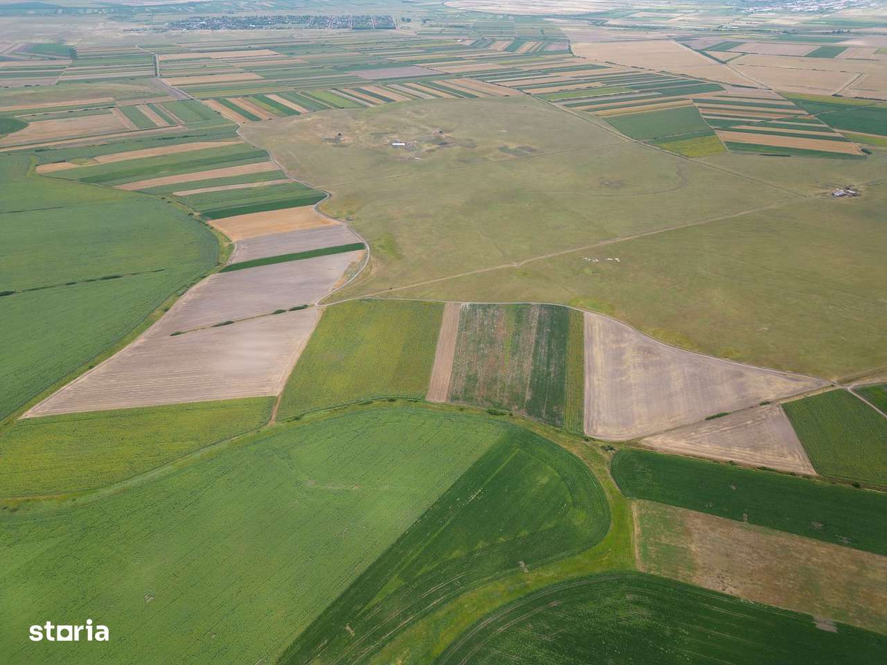 Teren arabil de 985 hectare în Bihor - Imagine principală: 3/3