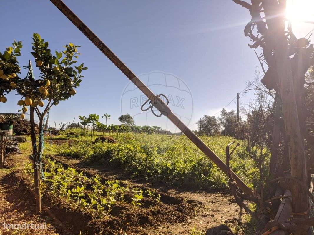 Terreno  para venda - Grande imagem: 4/13