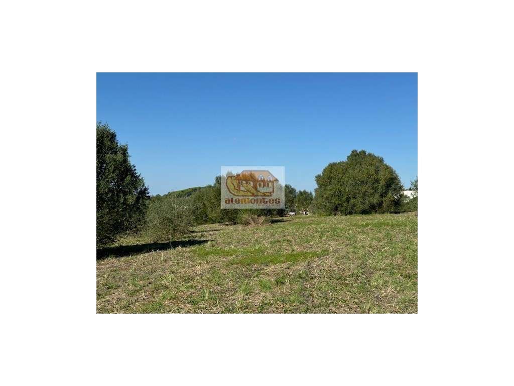 Quinta com vista mar em Santiago do Cacém-15