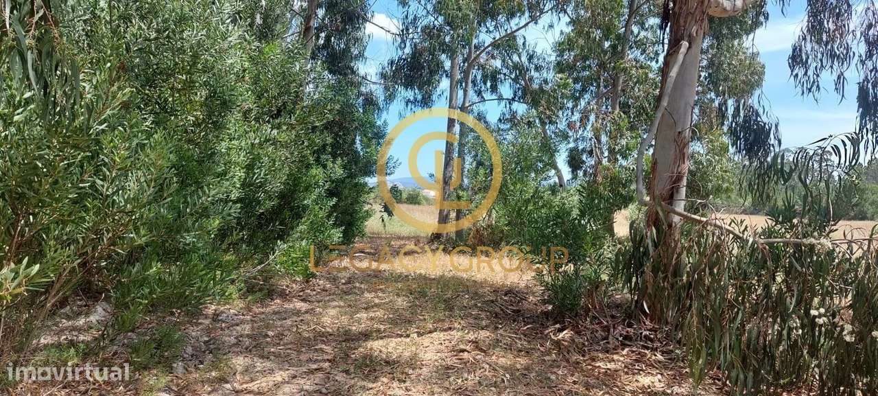 Terreno em Rogil, Aljezur, Algarve - Grande imagem: 4/19