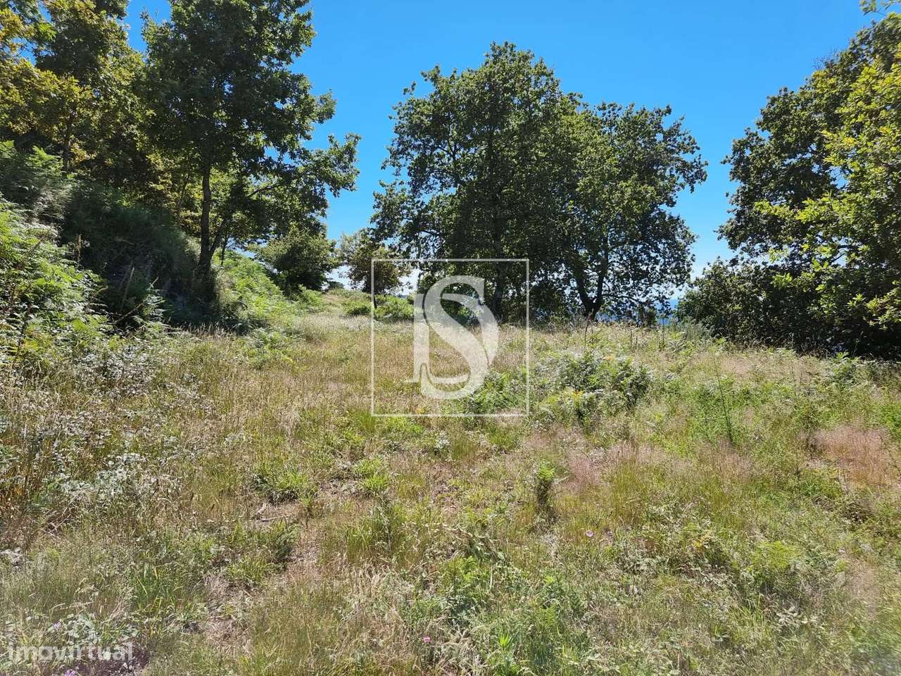 Terreno  Venda em Ventosa e Cova,Vieira do Minho - Grande imagem: 4/30