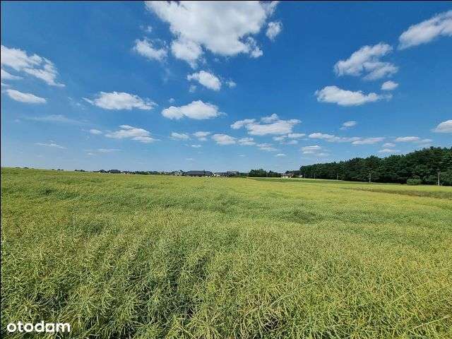 Działka, 1 082 m², Bojszowy-0