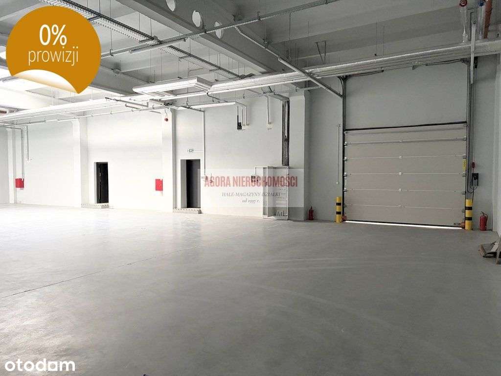 Rybitwy Hala Prod. Magazyn 1200 m2 + biura, - Pełny obrazek: 3/10