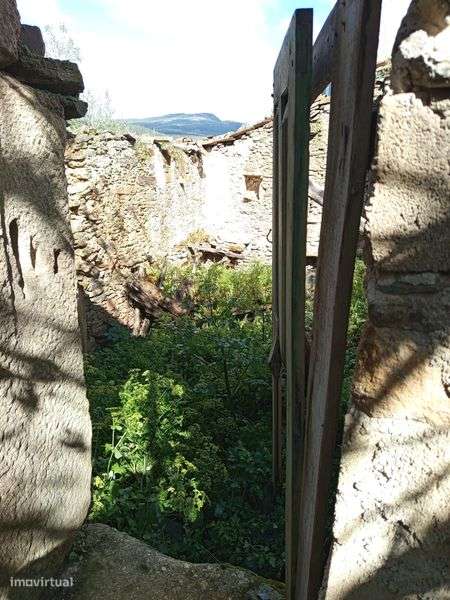 Vendo uma ruína em mós de Moncorvo - Grande imagem: 4/6