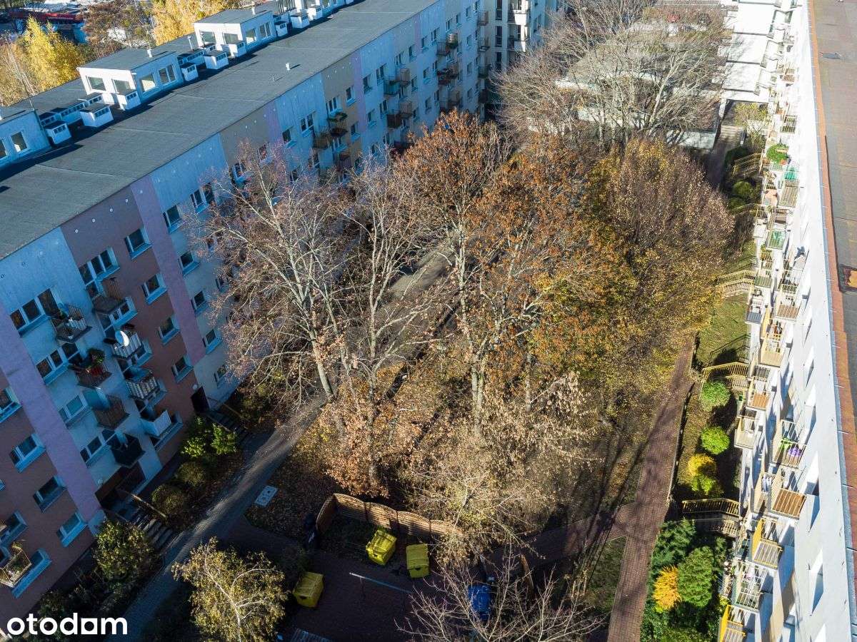 Potencjał, inwestycja, lokalizacja.-17