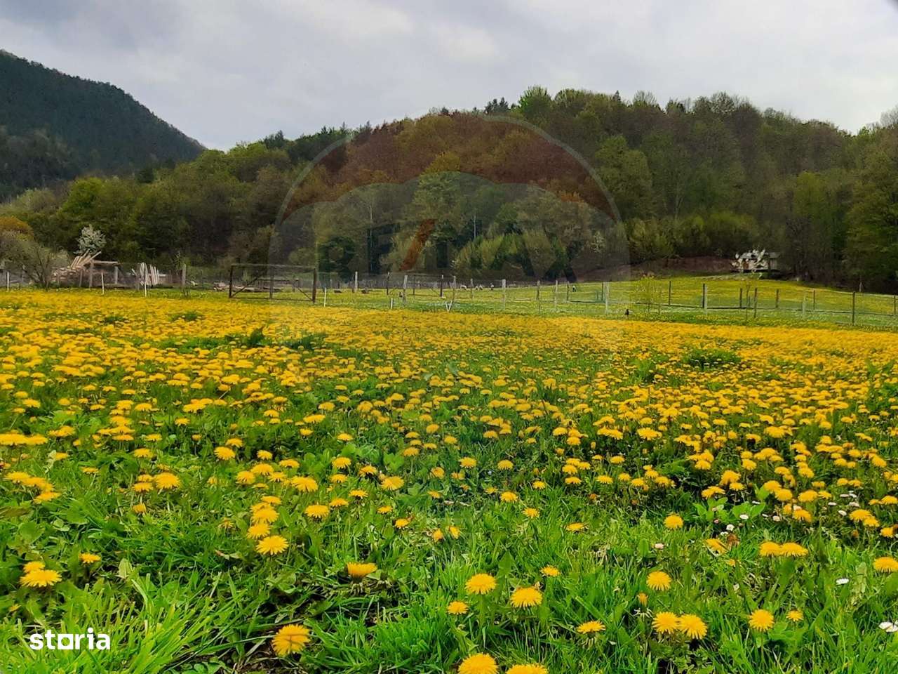 Hotel Tresor - Lepsa. - Imagine principală: 5/9