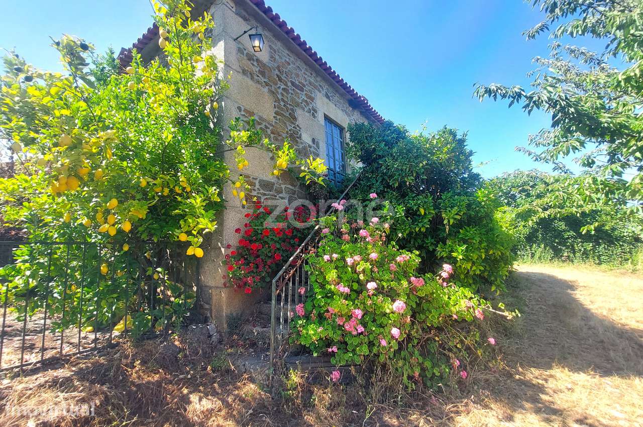 Moradia rústica centenária em Armamar - Grande imagem: 2/58