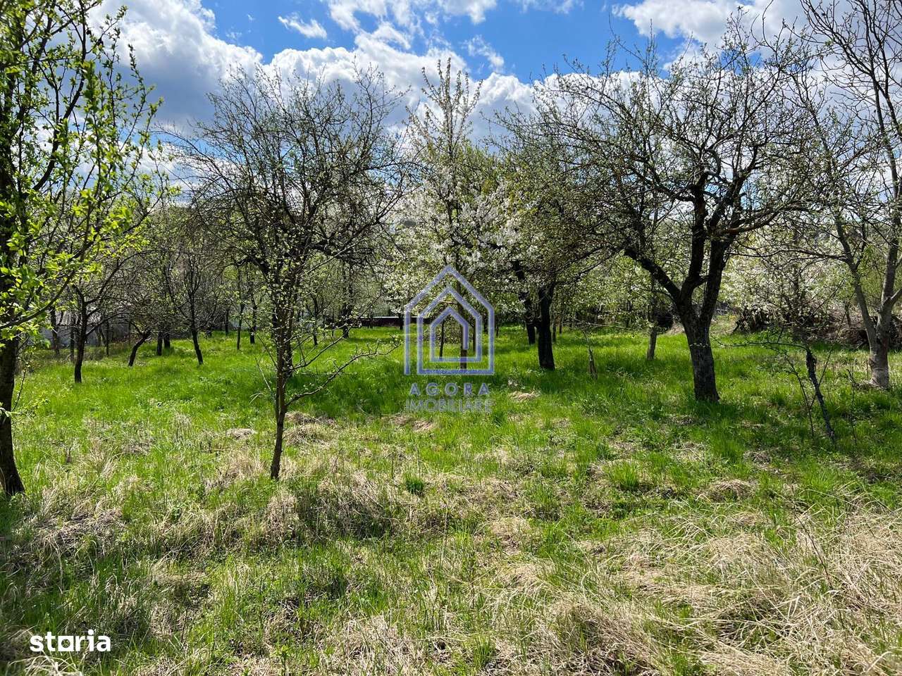 48 ari teren , cu casa batraneasca, Antoceni, Forasti, Suceava - Imagine principală: 3/9