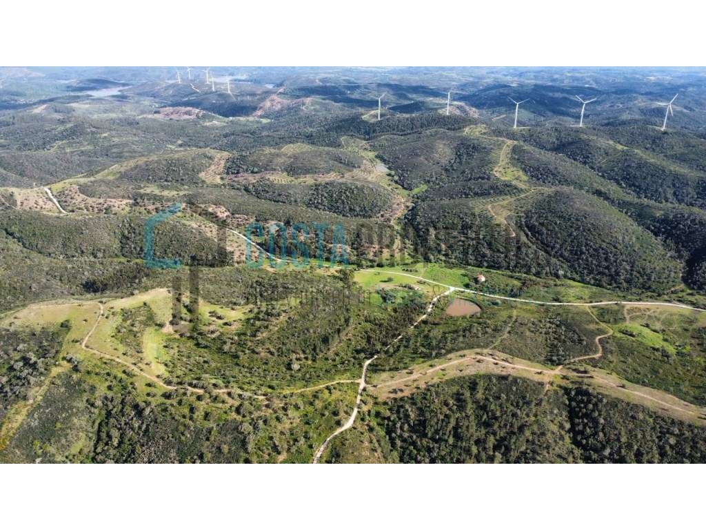 Terreno Rústico de 43.500 m² entre Aljezur e Monchique - Natureza e... - Grande imagem: 4/43