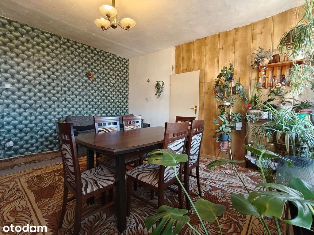 Duże mieszkanie 105 m2 - Jelenino - Pełny obrazek: 5/19